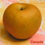 Pomme Canada