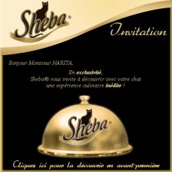 Sheba Invitation
