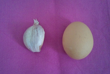鶏卵と比較